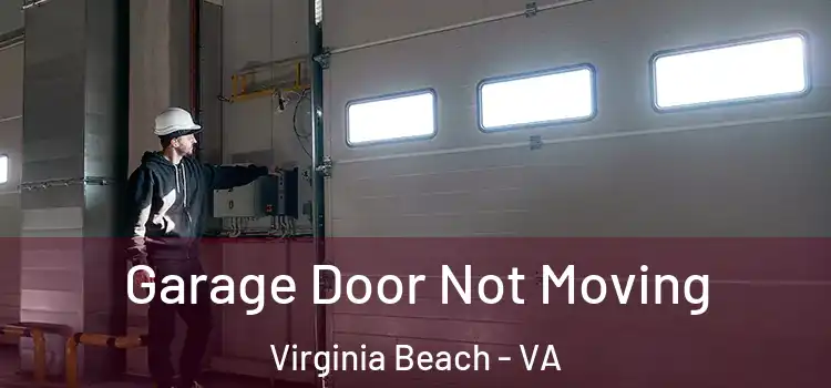  Garage Door Not Moving Virginia Beach - VA
