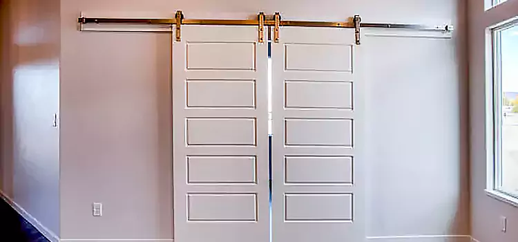 Glass Barn Door with Installation Hardware Kit Virginia Beach