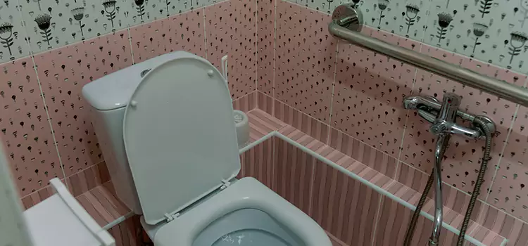Meeting Diverse Needs With Accessible Restroom Solutions in Virginia Beach, VA