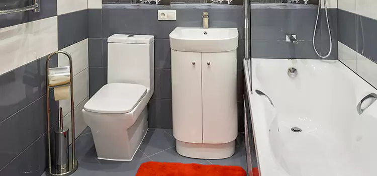 Hansgrohe Shaving Mirror Virginia Beach